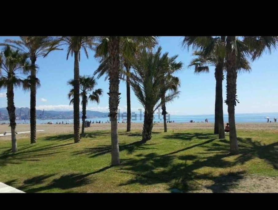 Apartamento New Fantastic Duplex With Terrace