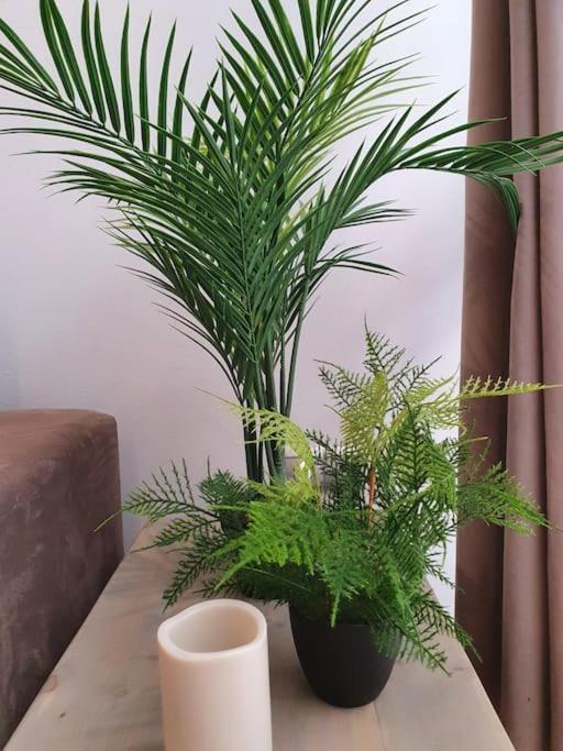Modern A Few Minutes To The Center - Trip Apartment *
