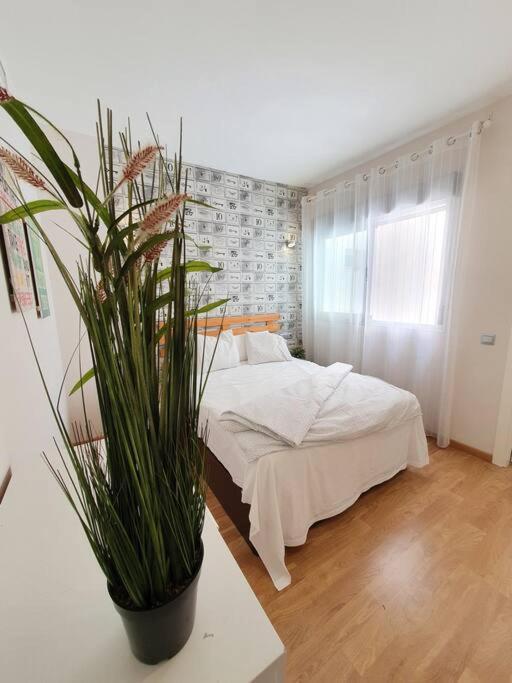 Apartment Modern A Few Minutes To The Center - Trip Malaga