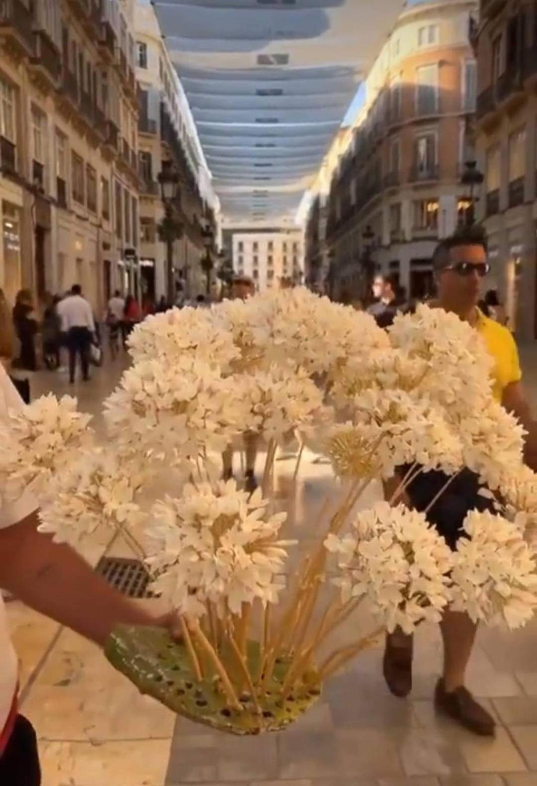 Apartamento Bahia De Málaga