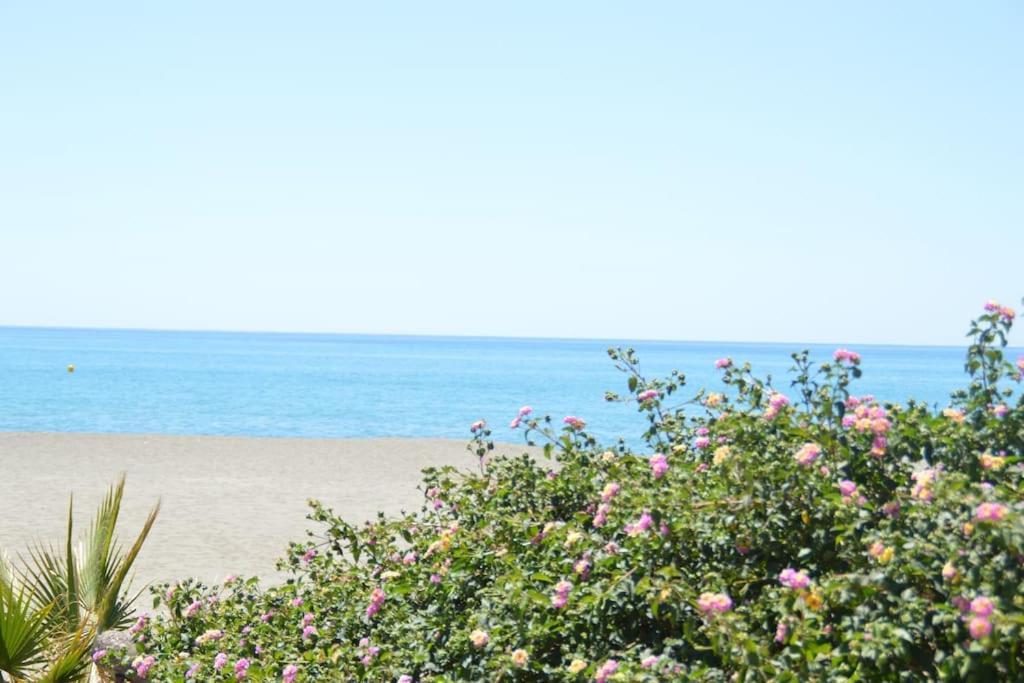 Apartamento Nuevo, Disfruta Del Silencio, Familias Con Ninos, Aire Acondicionado, 2 Banos , Playa