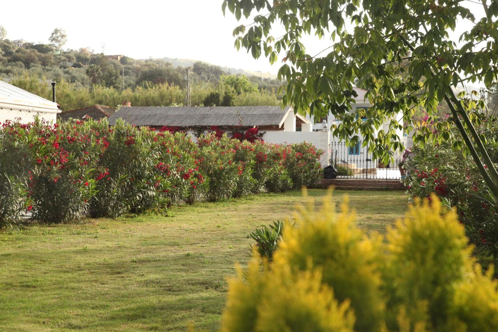 The Dragonfly Retreat Apartamento