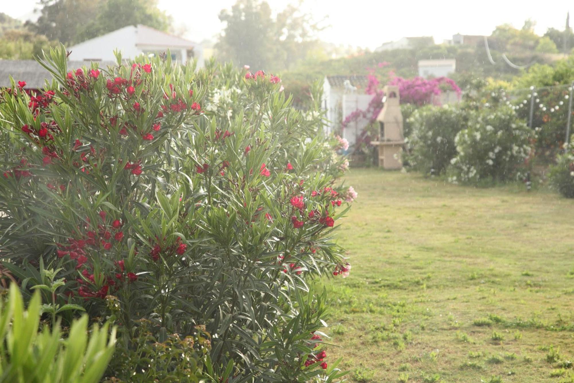 Apartamento The Dragonfly Retreat