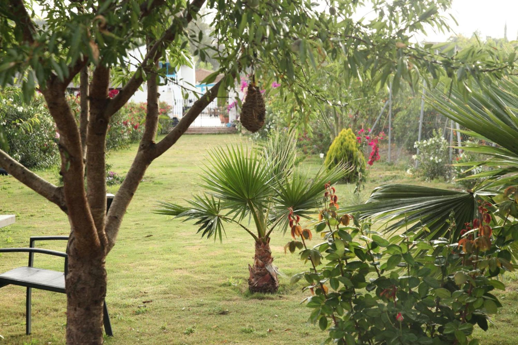 Apartamento The Dragonfly Retreat *