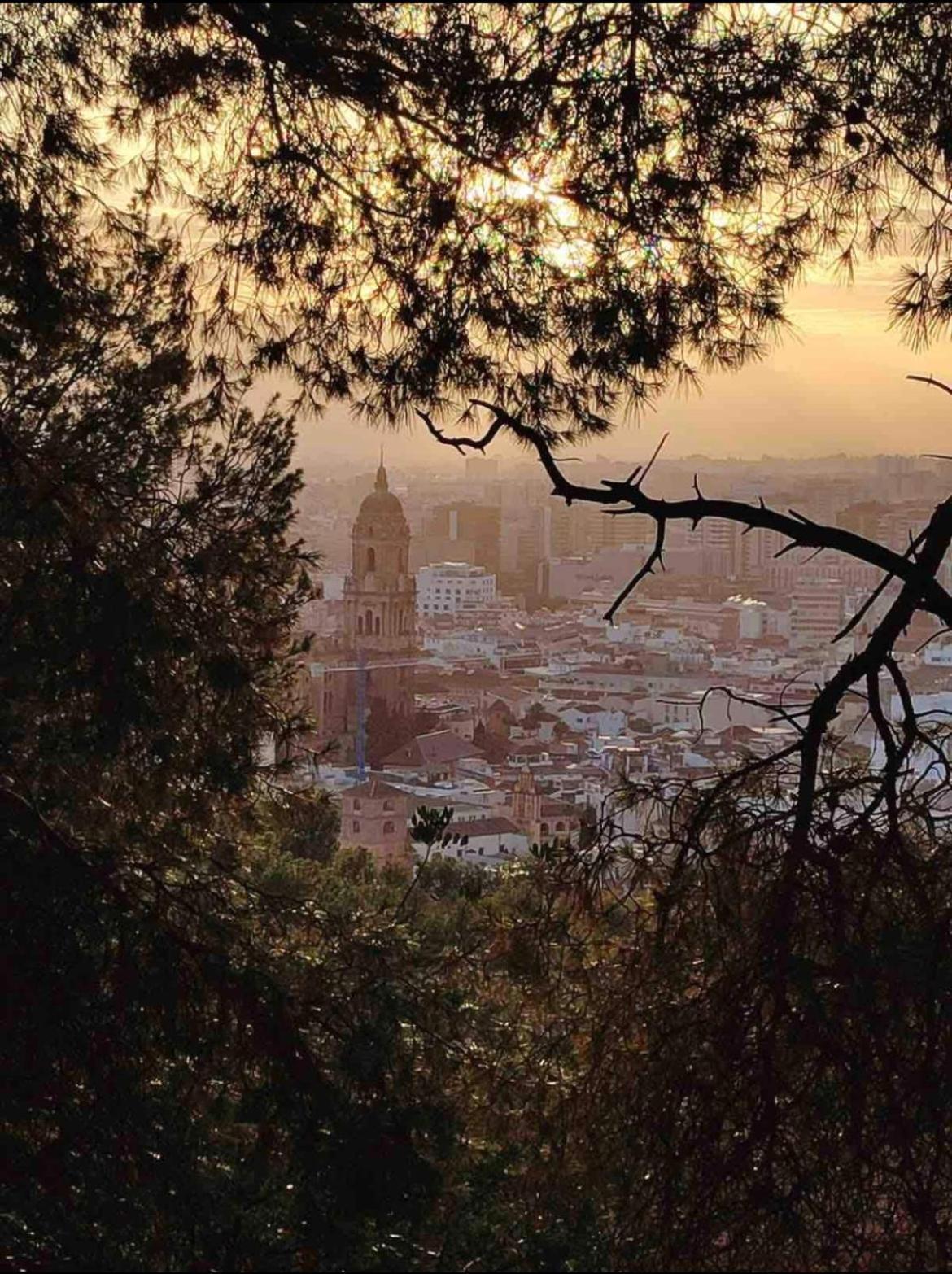 Downtown Málaga