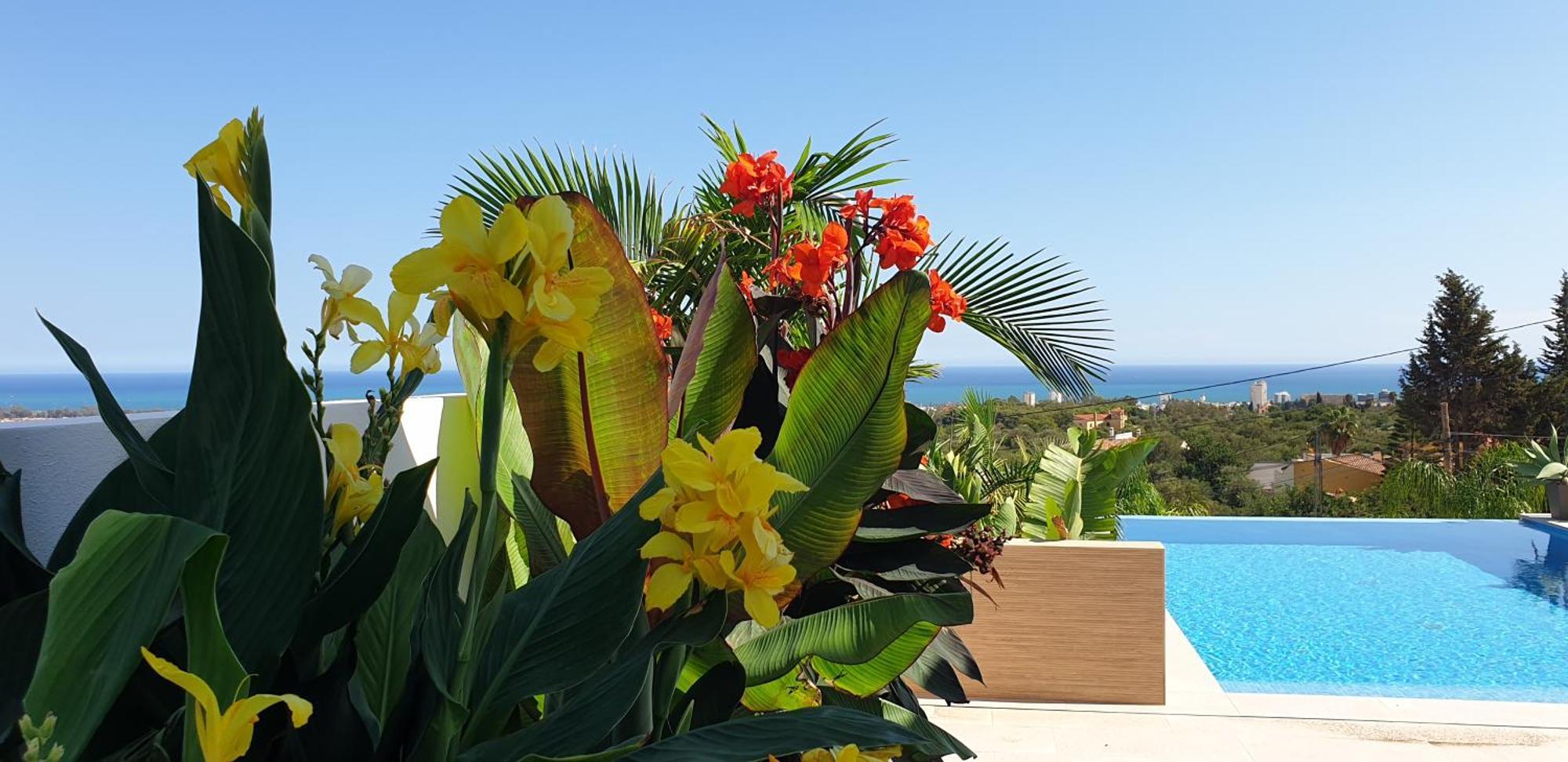 Happyplace -- With Panoramic Sea View Heated Infinity Saltwater Pool Villa