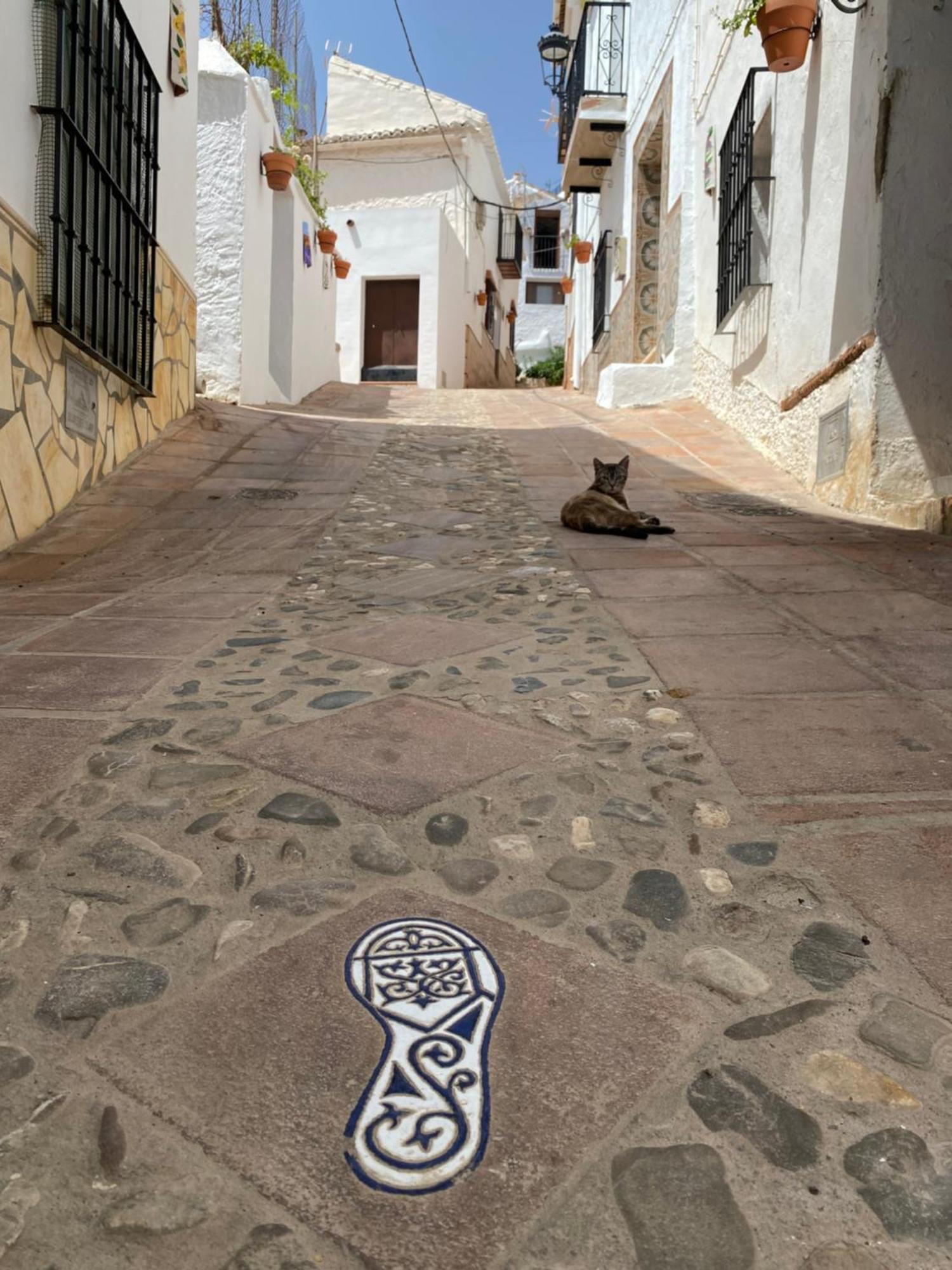Casita De Azulejos In Comares