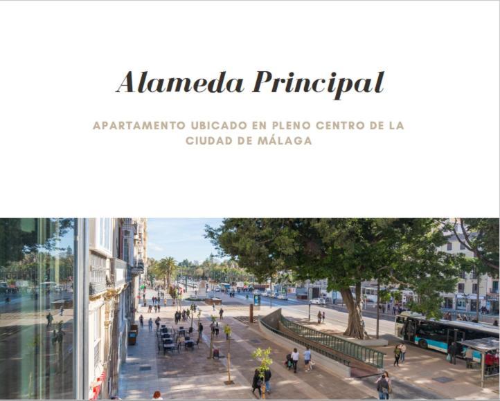 Apartamento Alameda Principal Larios Centro Wifi