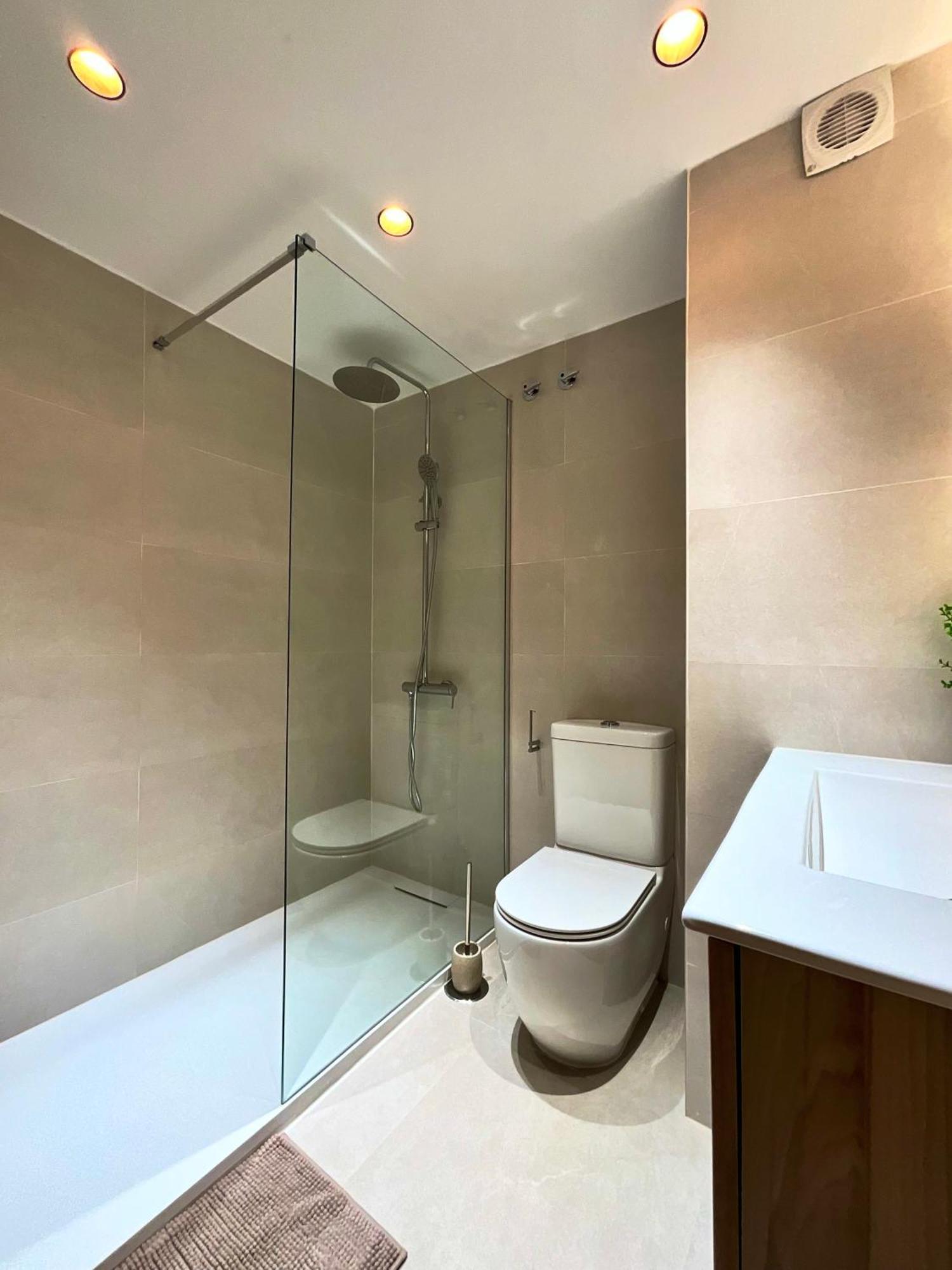 Olive Penthouse Malaga
