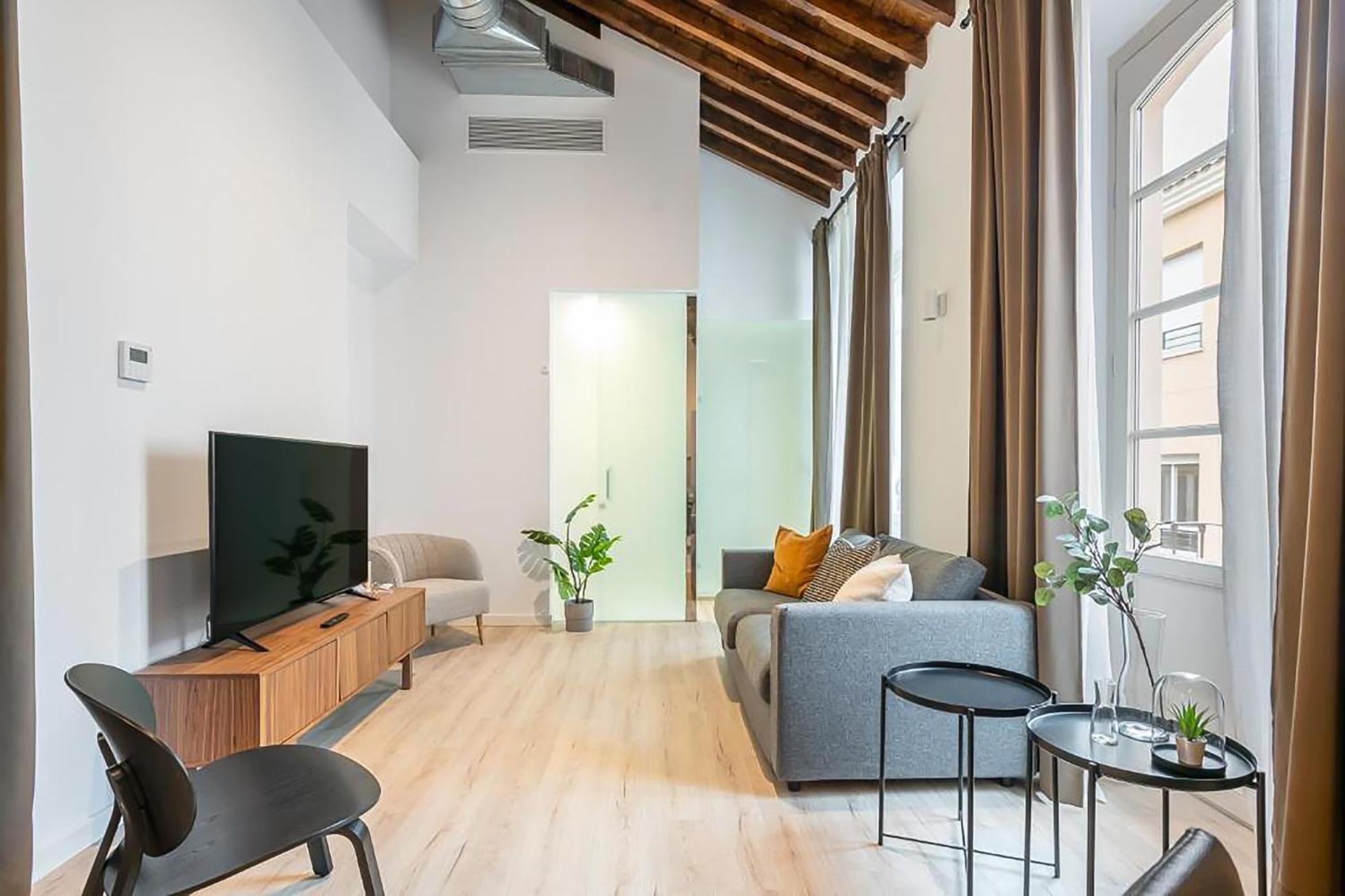 Apartamento Feelathome Conde