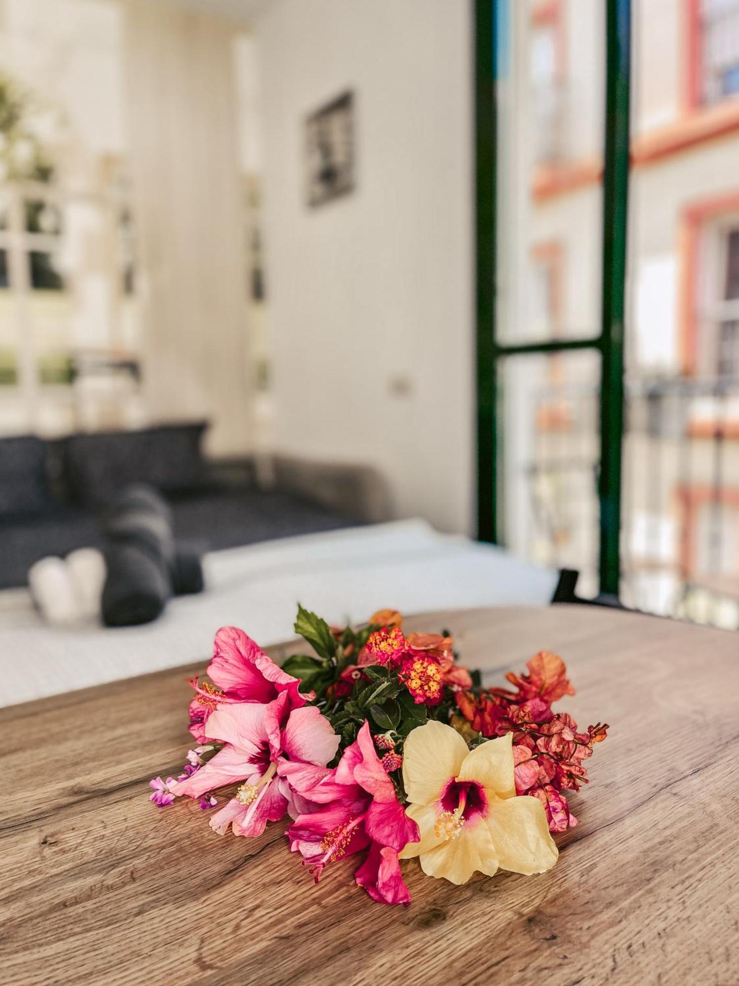 Harmony Free Garage Shared Roof Terrace Apartamento