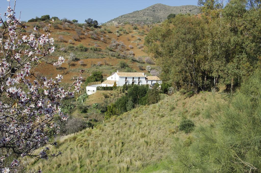 Сasa de vacaciones Rural Montes Málaga: Cortijo La Palma *
