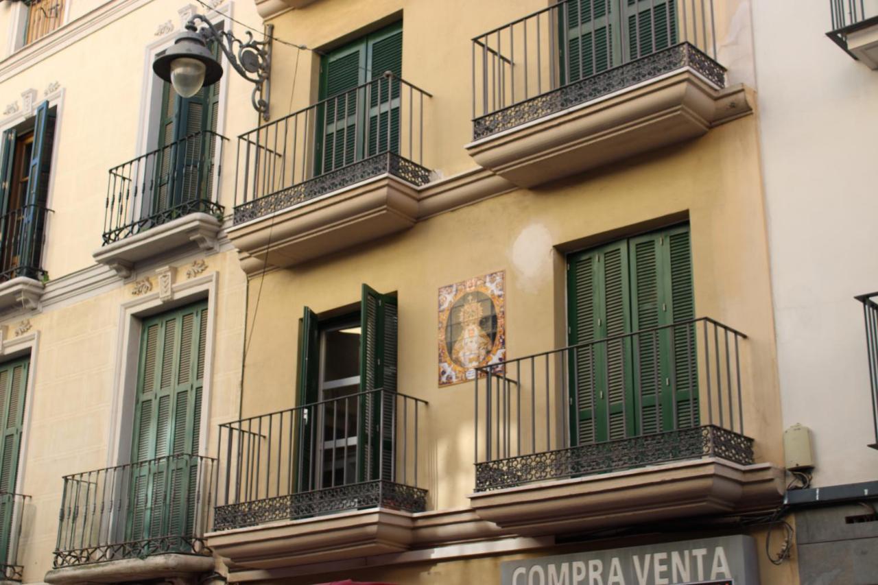 Fan Flat Carreteria * Málaga