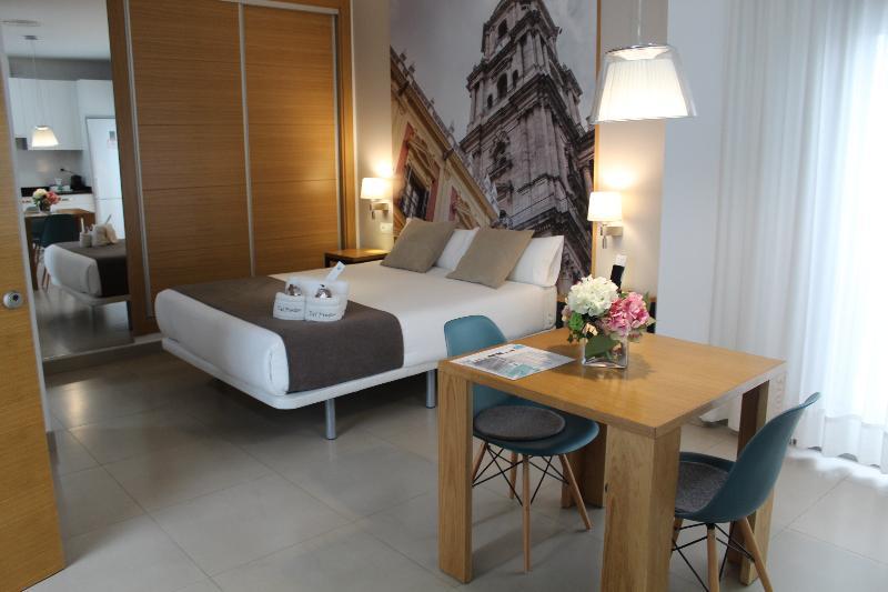 Apartahotel Del Pintor 3*