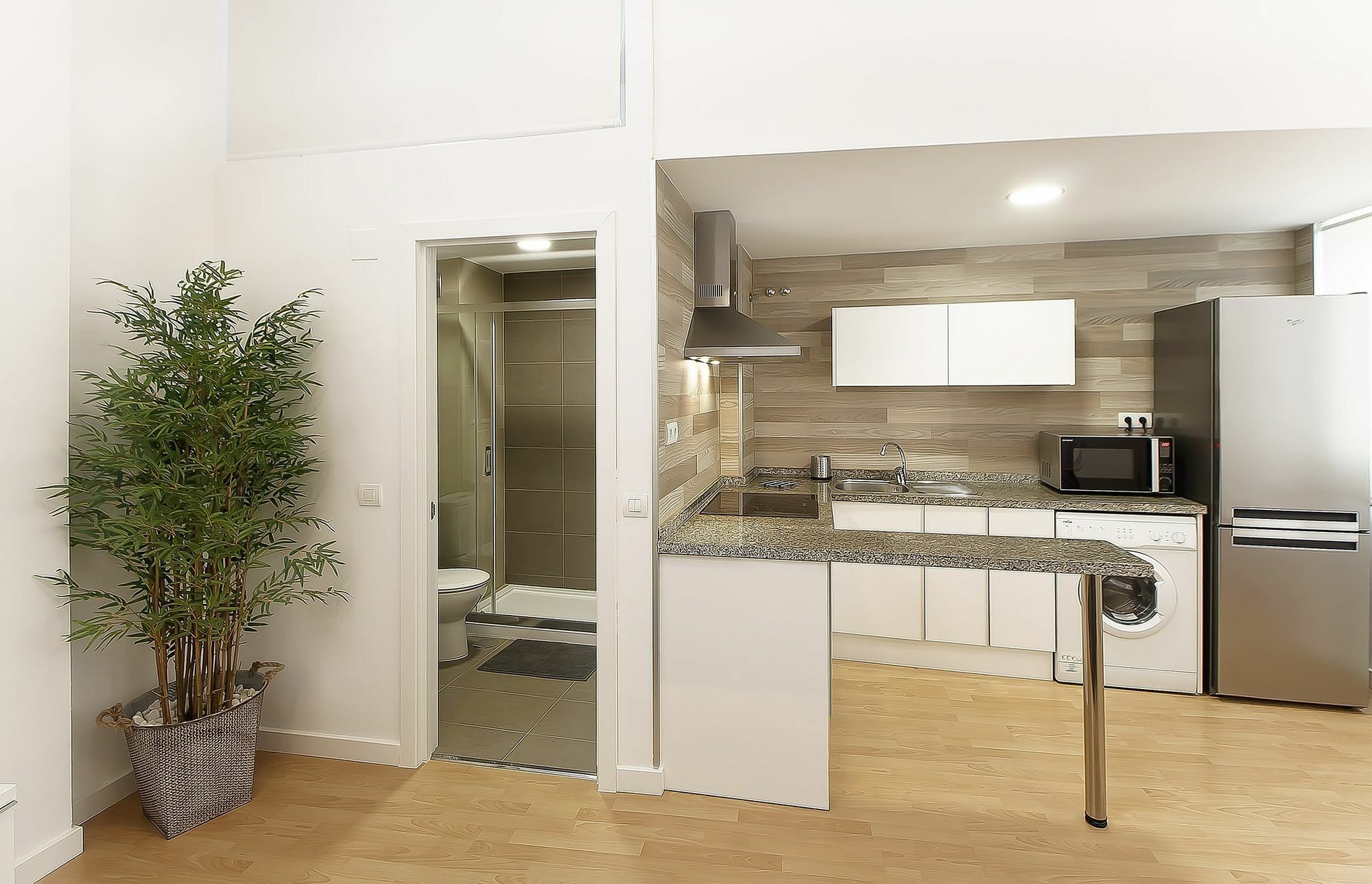 Apartamento Iloftmalaga Souviron *