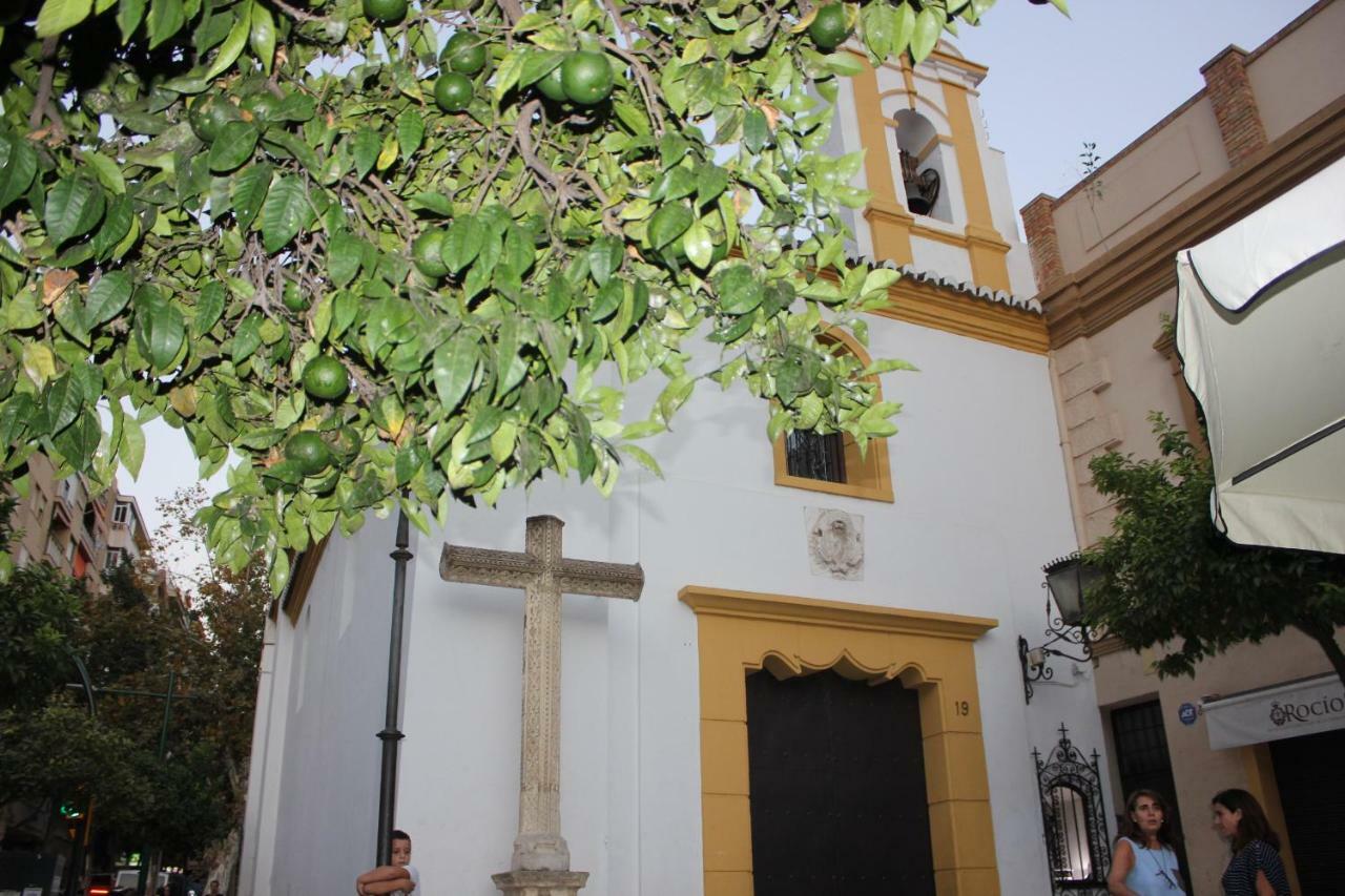 Apartamento Piso Plaza Victoria, *