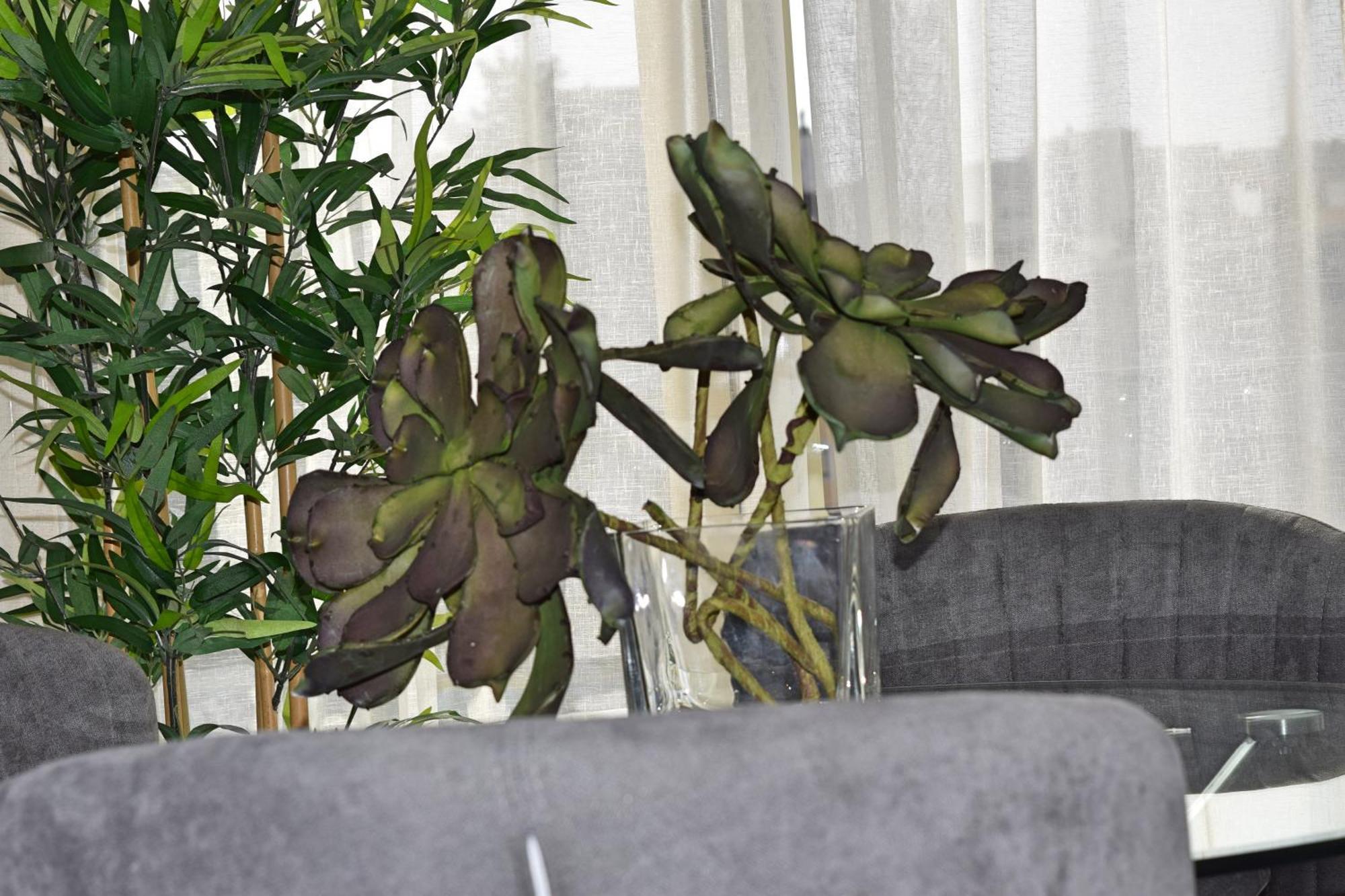 Apartamento San Rafael * Málaga