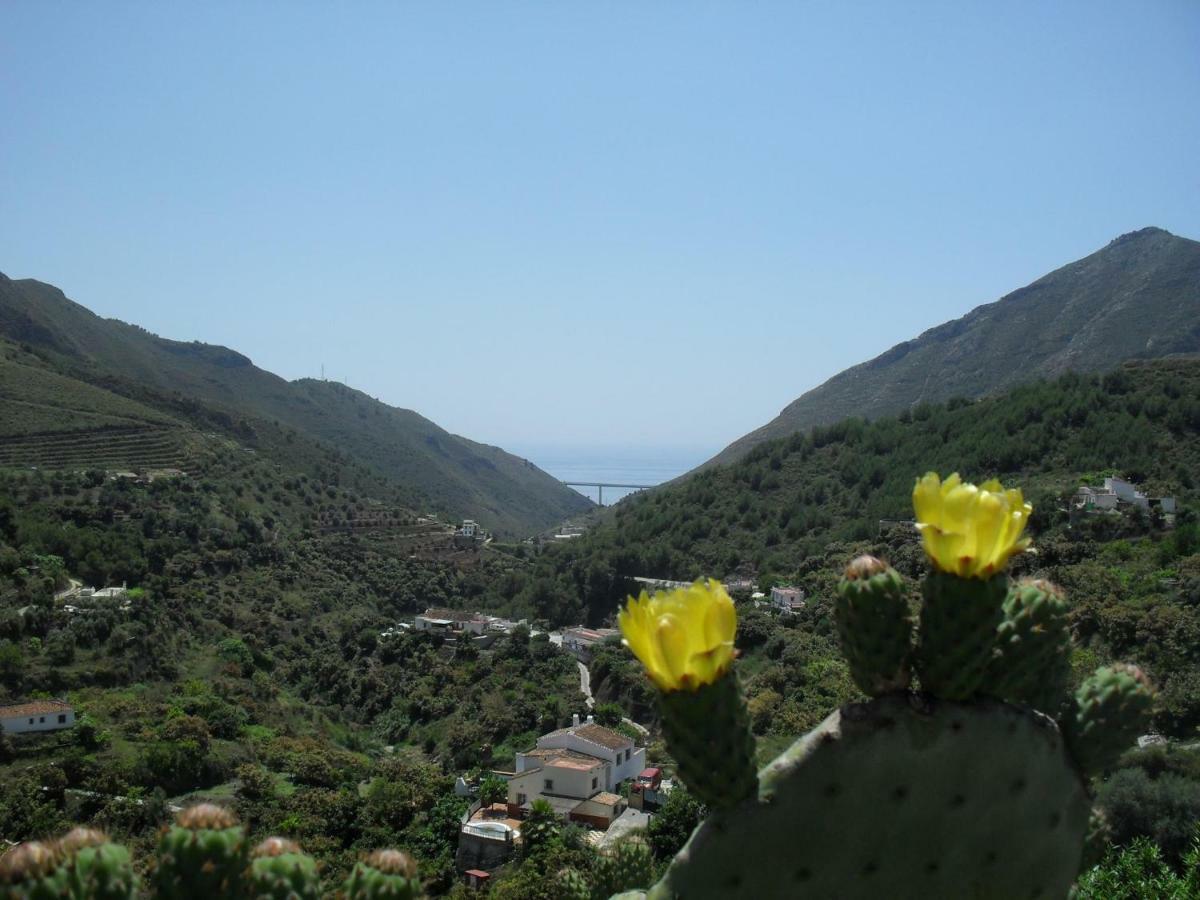 Сasa de vacaciones Cortijo Buenavista