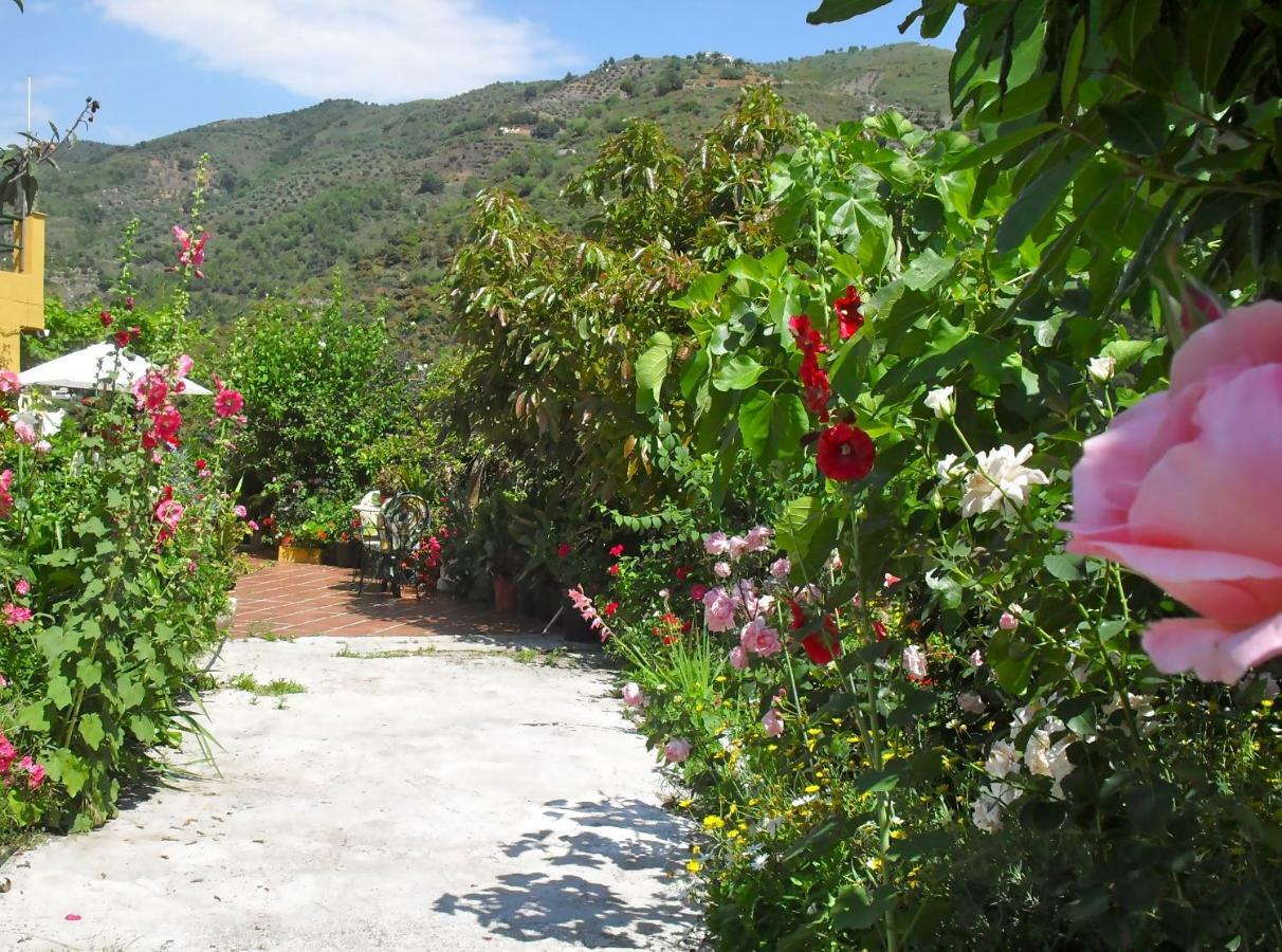 Сasa de vacaciones Cortijo Buenavista Málaga