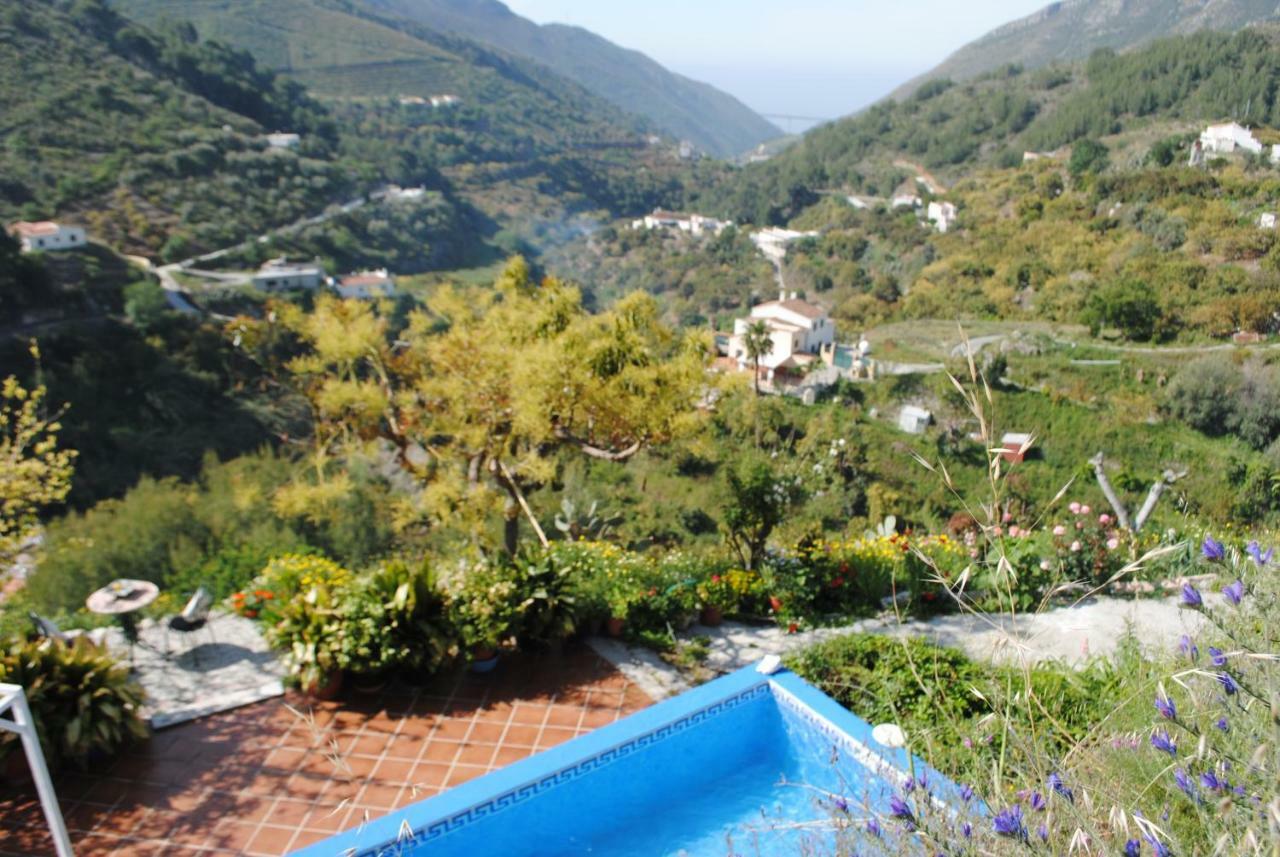 Cortijo Buenavista Сasa de vacaciones *