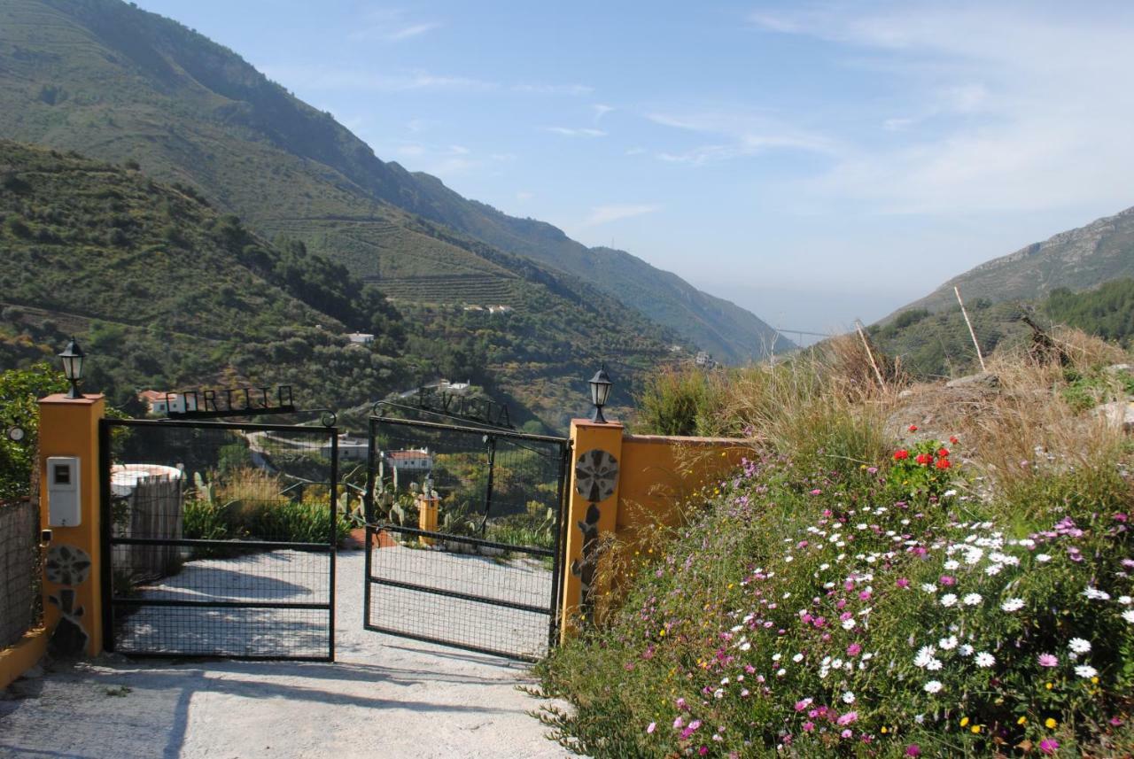 Cortijo Buenavista Сasa de vacaciones