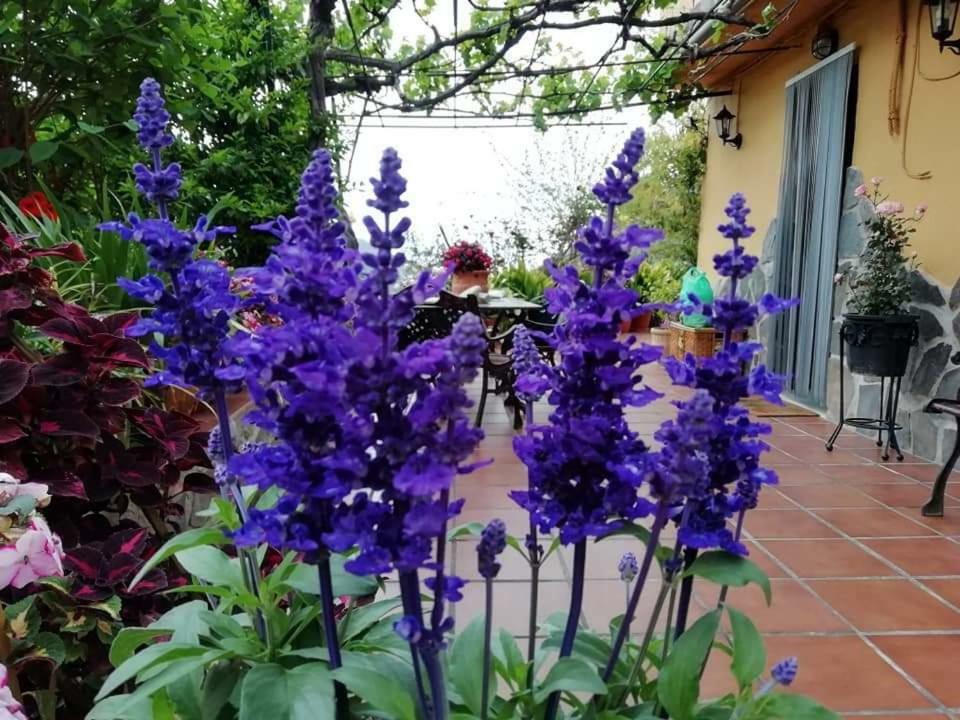 Сasa de vacaciones Cortijo Buenavista *