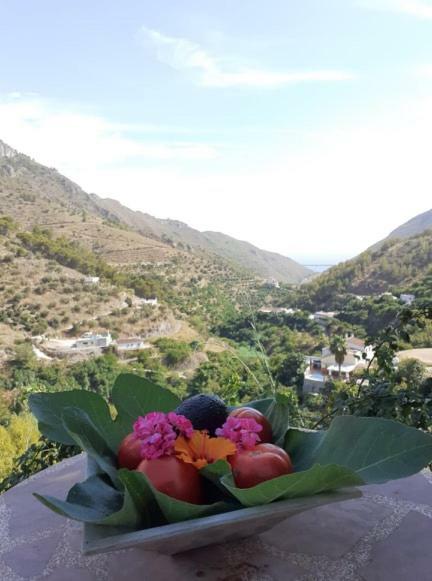 Cortijo Buenavista Сasa de vacaciones *