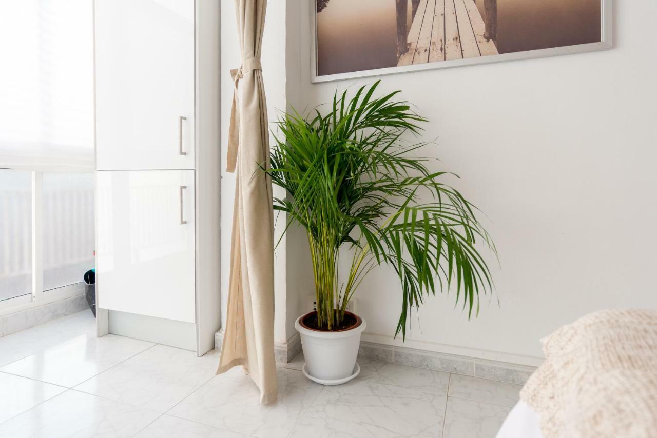 Mp1-ocean Views Apt On The Beach Apartamento *