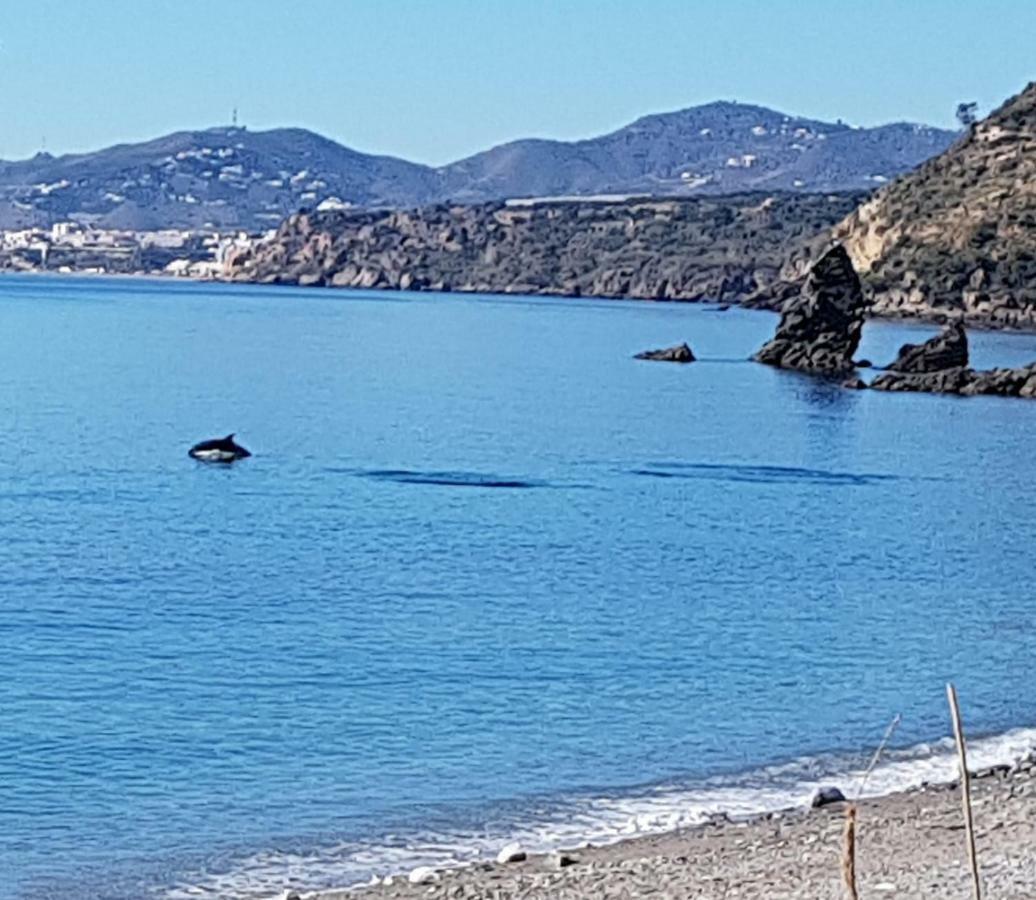 Cortijo Buenavista * Málaga