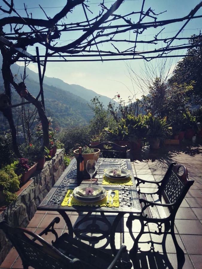 Сasa de vacaciones Cortijo Buenavista