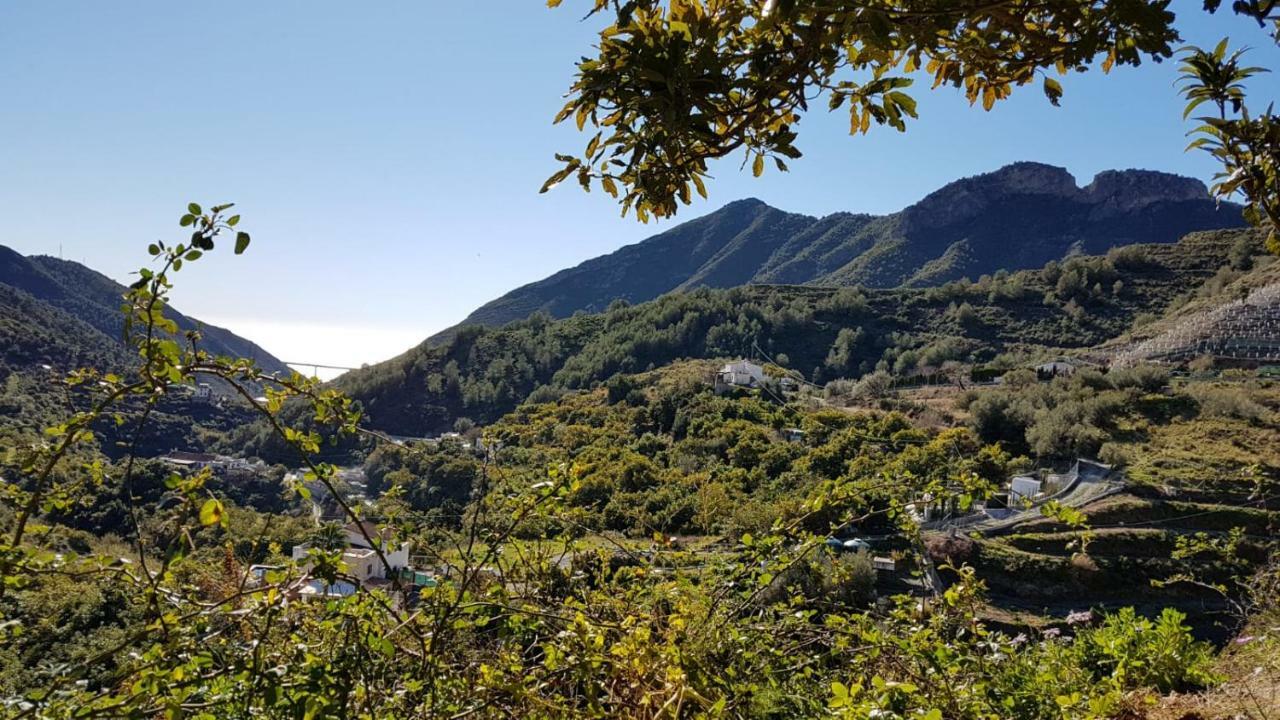 Cortijo Buenavista Сasa de vacaciones Málaga